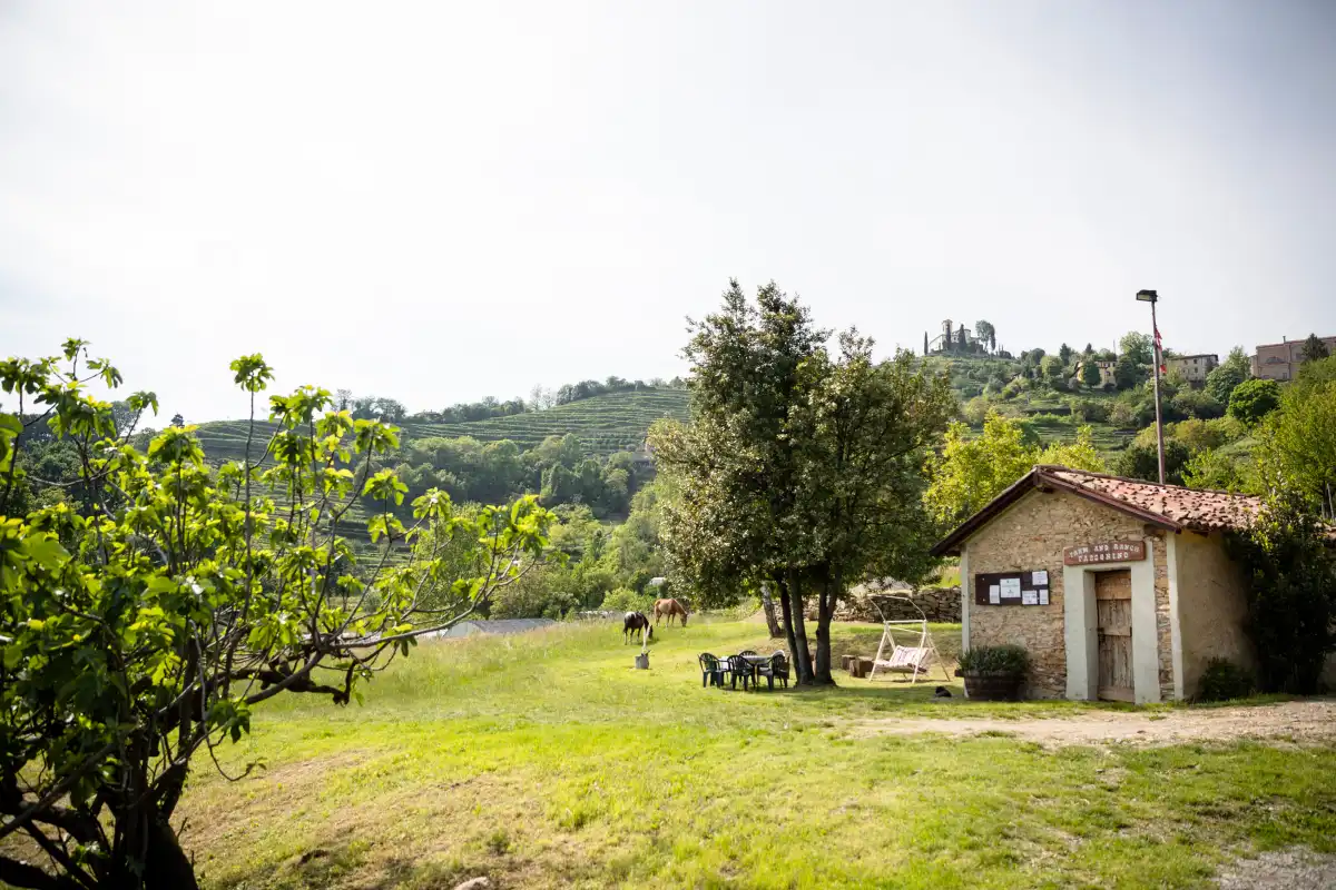 L'Agriturismo Passonino, nei dintorni della Corte del Passone a Montevecchia