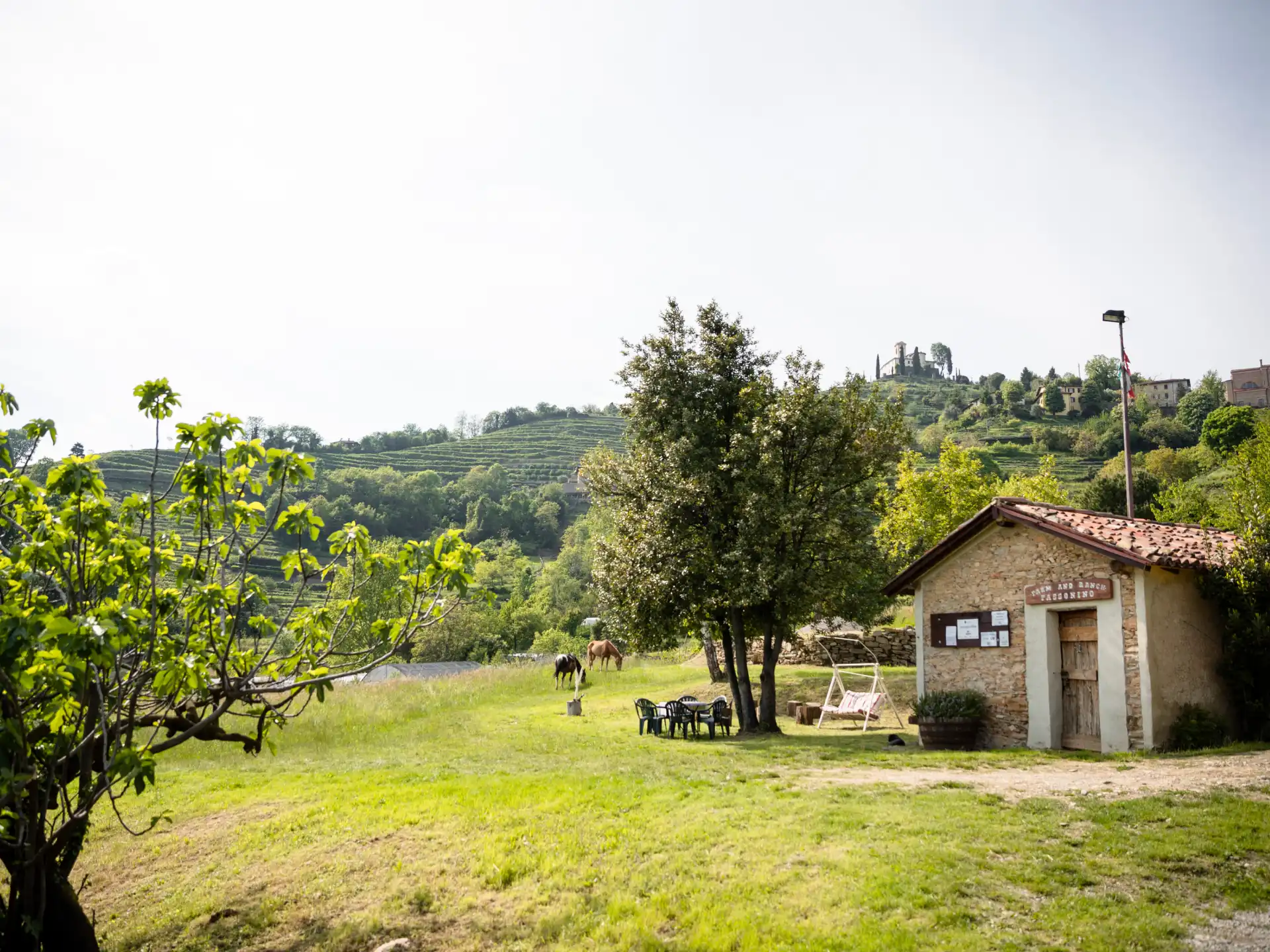 Agriturismo Passonino — panorama reale da mostrare qui