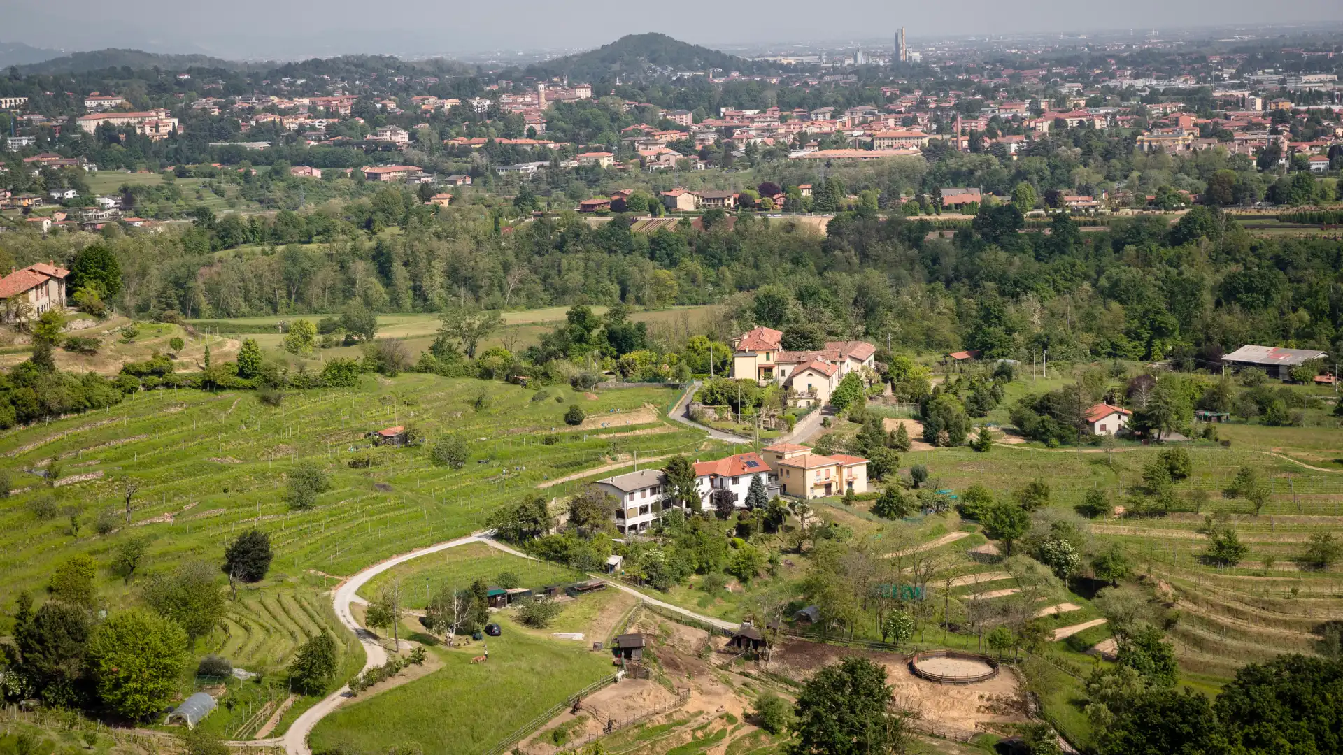 Un paesaggio reale di Montevecchia o del Parco del Curone, da mostrare qui
