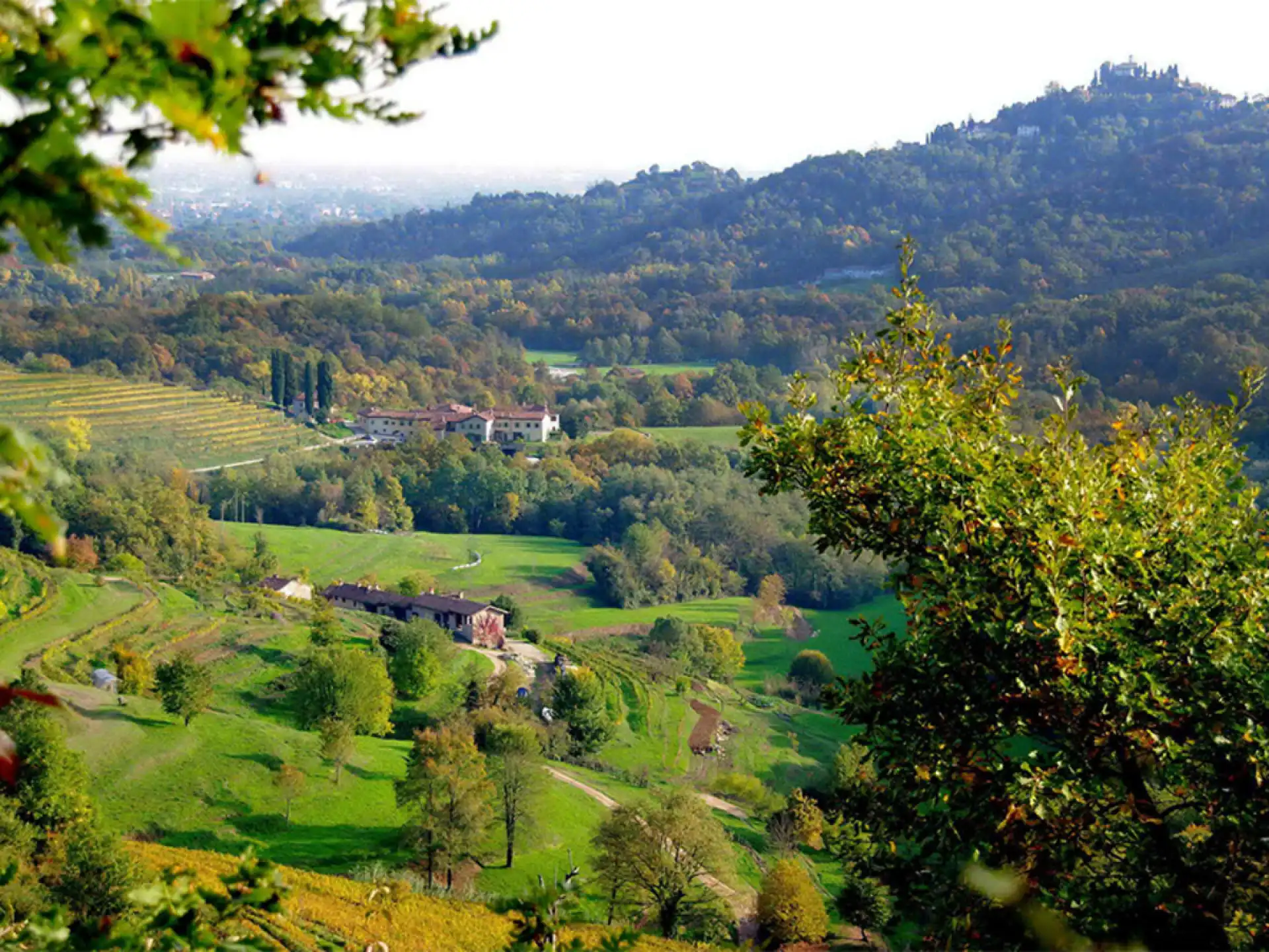 I sentieri del Parco del Curone, nei dintorni della Corte del Passone a Montevecchia