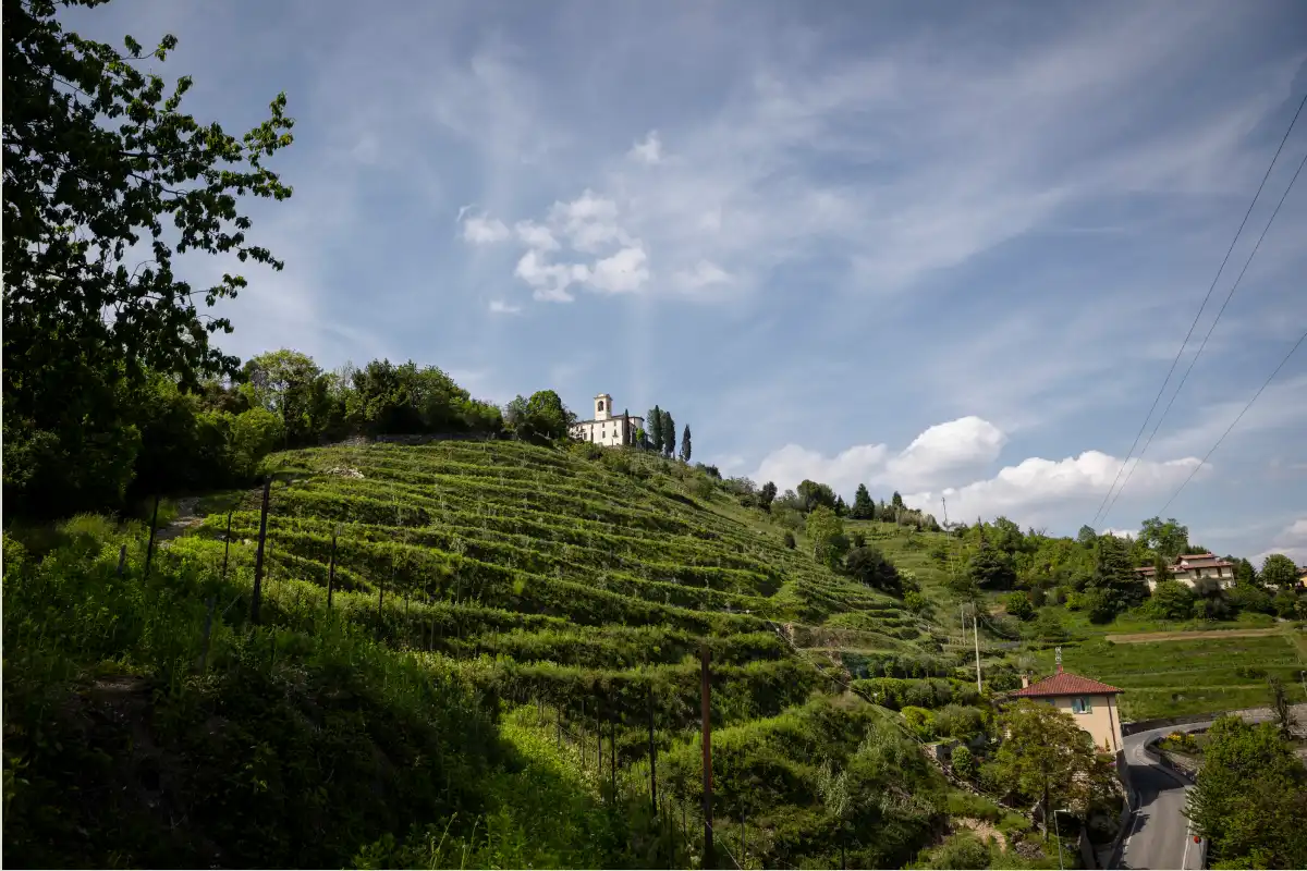 I terrazzamenti del Parco del Curone a Montevecchia